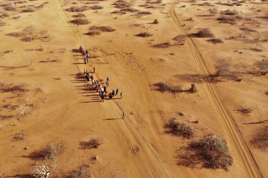 43,000-estimated-dead-in-somalia-drought-last-year:-report