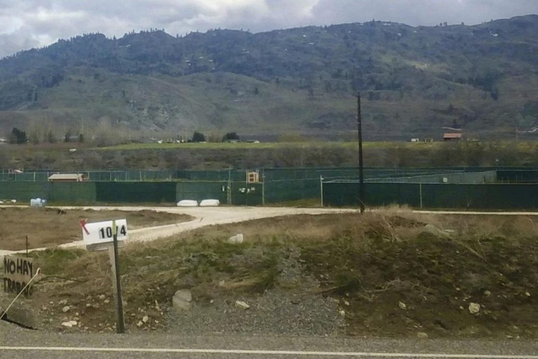washington-state-shuts-down-marijuana-farms,-facilities-after-decades-old-chemicals-found